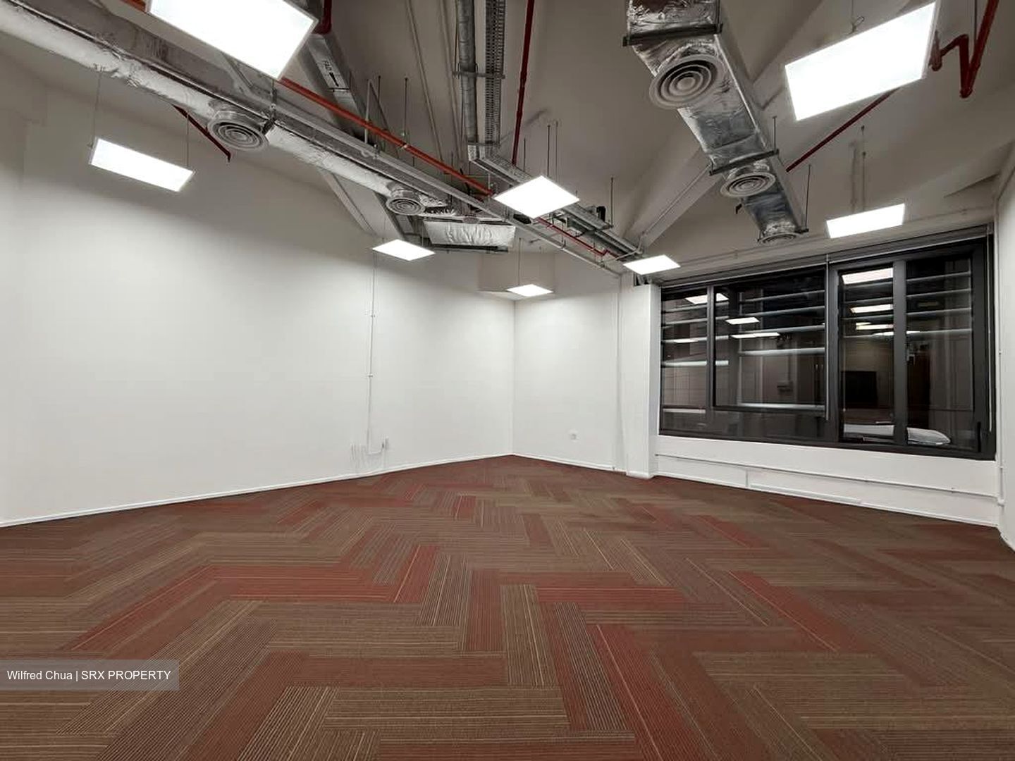 PLUS (D1), Office #554082601